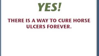 You Can Fix Horse Ulcers Forever