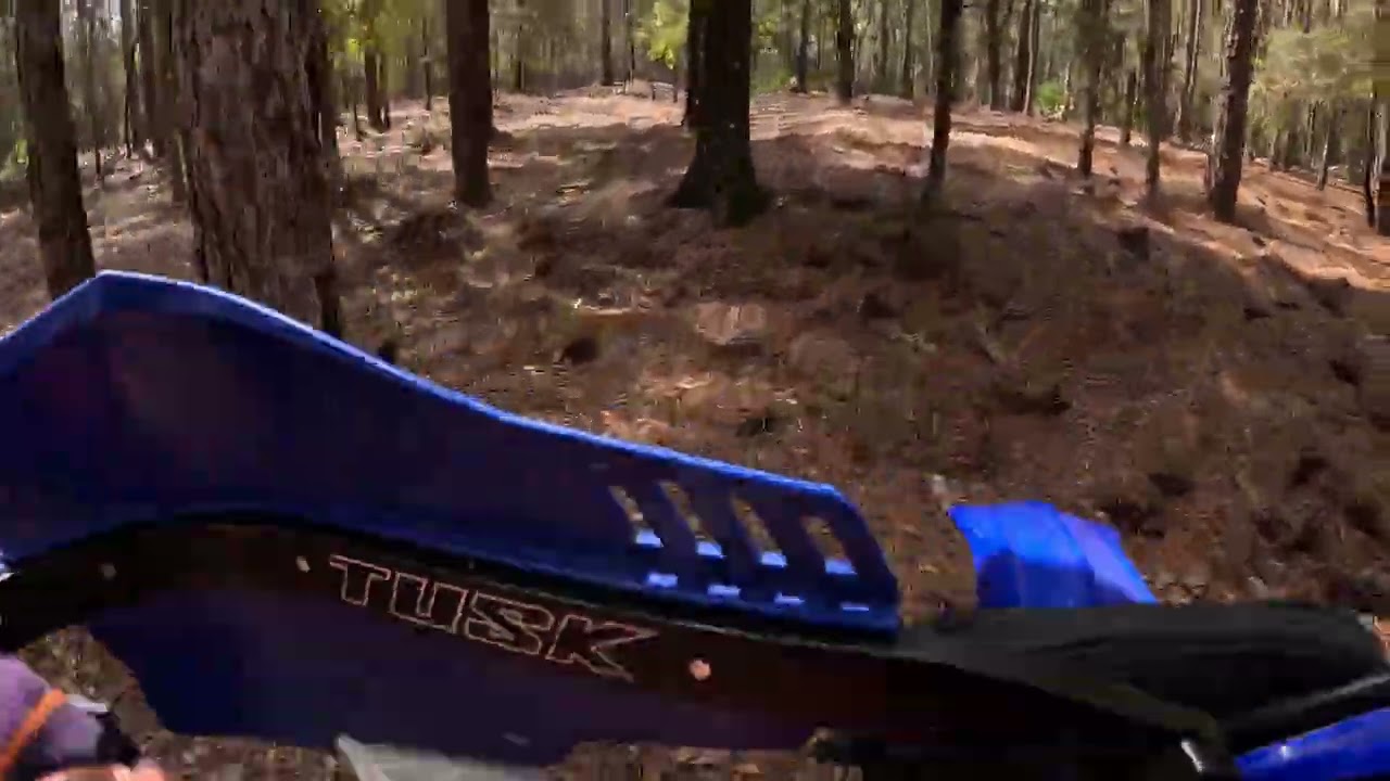 croom solo. 2/20/2026