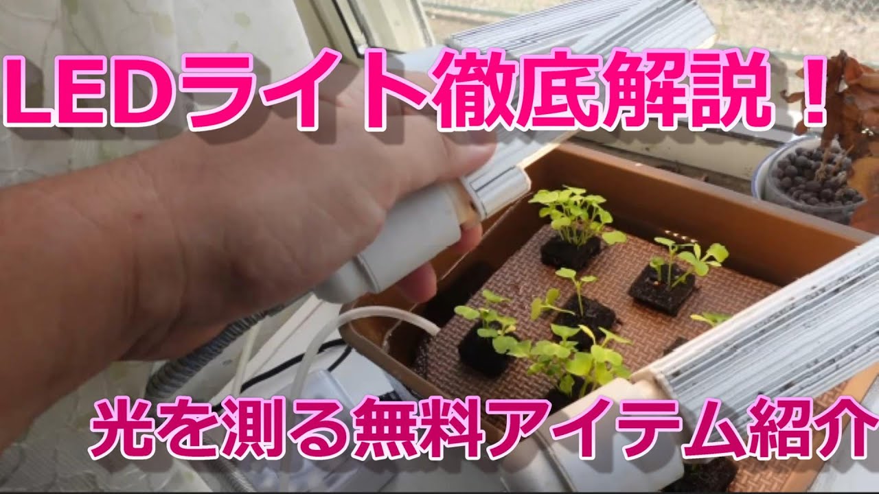水耕栽培で使うLEDライトを徹底解説！光の測り方紹介 - YouTube