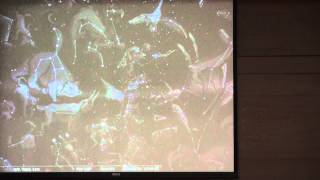 2012051402_現場_全天88星座_趙瑞青老師_台北校區