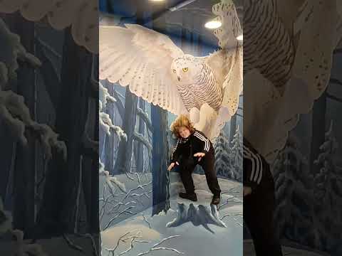Большая птица схватила меня. Музей иллюзий.#video #шортс #птицы #музей #иллюзия #юмор