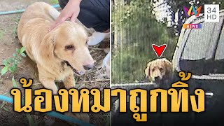 สงสารจับใจ น้องหมาโกลเด้นฯ ถูกทิ้งริมทาง นั่งรอเจ้าของน้ำตาไหลพราก | ข่าวอรุณอมรินทร์ | 18/5/67