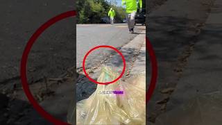 Protect Garbage Collectors 🧑‍🌾