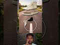 "क्या आप इस जूते को नया बना सकते हैं? 👟🔥 #ShoeRepair"