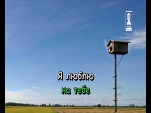 Марина  киркоров на флешку