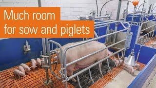 Variable-restraint pen with farrowing frame | ActiWel