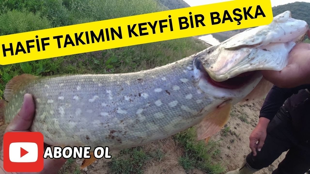 SABAH SUYU LRF İLE PERCH AVI VE BEKLENMEDİK ANDA GELEN MÜKKEMMEL BİR TURNA!!!