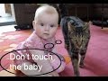 Amazing Cat protecting babies