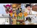 Подарок подружке🛍Экспериментируем🙀Мой огородик🌴VLOG