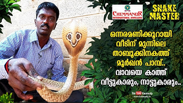 A cobra hides inside a hollow brick for one and a half hour.. | Vava Suresh | Snakemaster EP 442