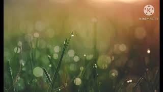Etho ragam nenjukulle vanthu vanthu ringtone- Yaanji Yaanji