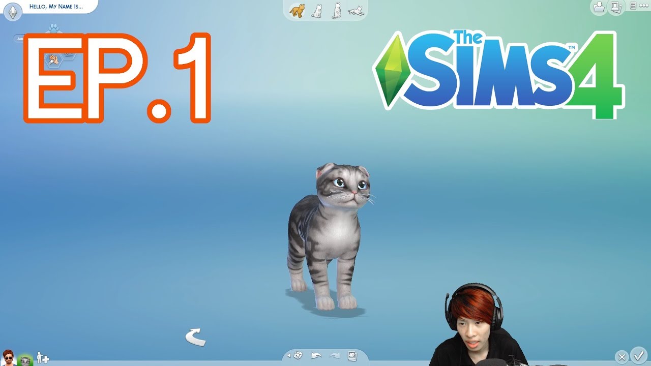 the sims 4 เลี้ยงหมา  New  Ep.1 The Sims 4 [Cats\u0026 Dogs] - อยากเลี้ยงแมว | NOTE BP