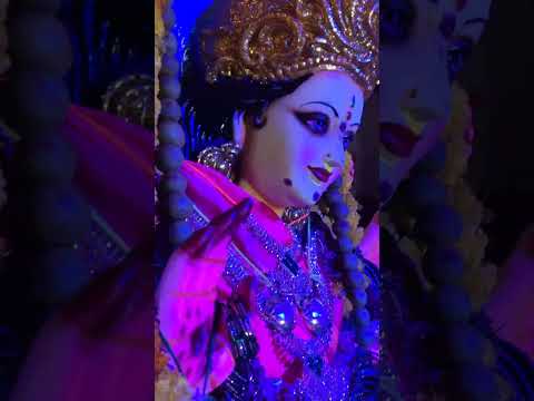 Day_3#annapurna devi#annadhanam#devotional#traditional#viral#dasara