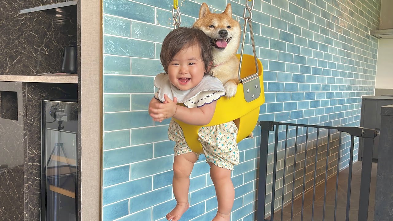 ブランコの２人乗りに大喜びする1歳児と豆柴が可愛すぎました...