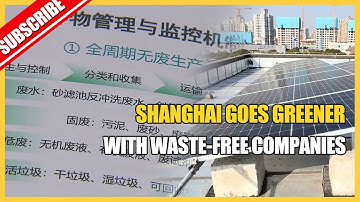 Shanghai goes greener with waste-free companies