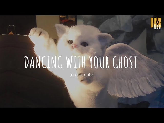 Dancing With Your Ghost (Remix) - DJ Komang Rimex // (Vietsub + Lyric) Tik Tok Song class=
