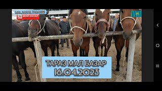 16.04.2023 Жылқы бағасы | Тараз мал базар | MAL BAZAR KZ | МАЛ БАЗАР |ЖЫЛҚЫЛАР БАҒАСЫ |АЙҒЫР ✅#айғыр