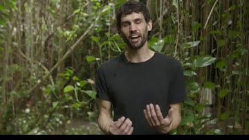 Grade 7: Matter and Energy in Ecosystems, Lesson 6 (Part 4 of 4)