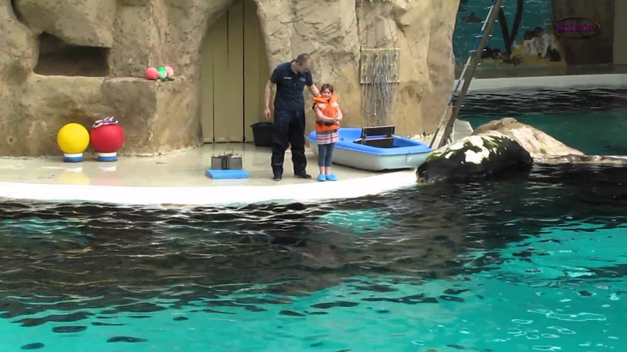 Delphinarium Duisburg Zoo Komplette Show Teil 2