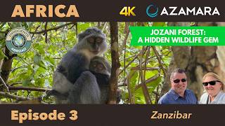 Travel vlog - Top Things to Do in Zanzibar | Jozani Forest & Freddie Mercury Museum