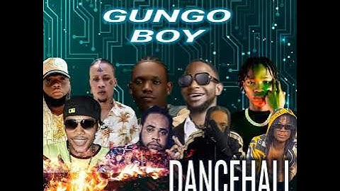 Gungo Bwoy Dancehall Mixtape 2024 (Raw)