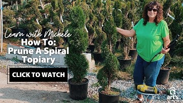 How To: Prune A Spiral Topiary + Topiary Tour