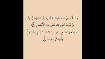 سورة  ابراهيم  أية 42 و 43