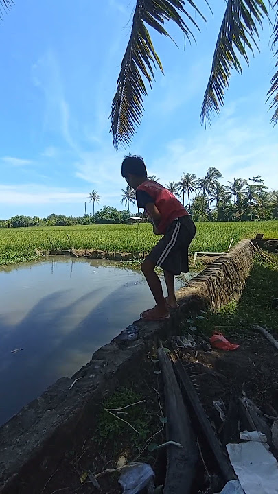 DARIPADA MANCING KERIBUTAN MENDING MANCING IKAN#lucu
