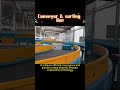 Wheel Sorter: Large Parcel Transfer from Branch to Main Line | Bdaitech