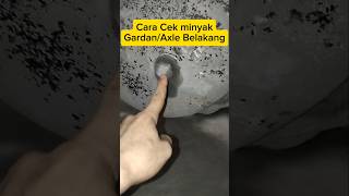 Tips Cara cek minyak Gardan Belakang #axle gear oil