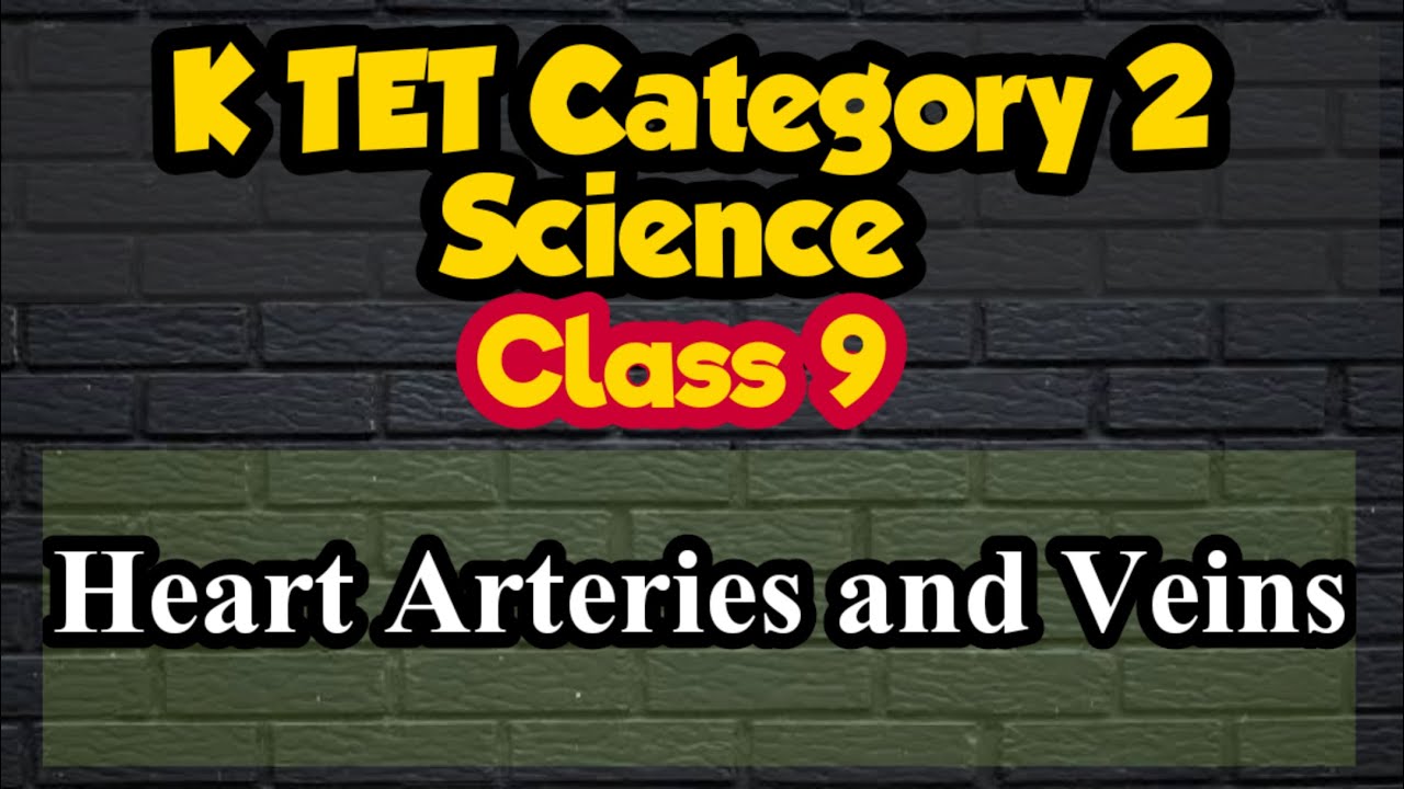 K TET Category 2 Science | Heart | Arteries and Veins | Cardio Vascular System