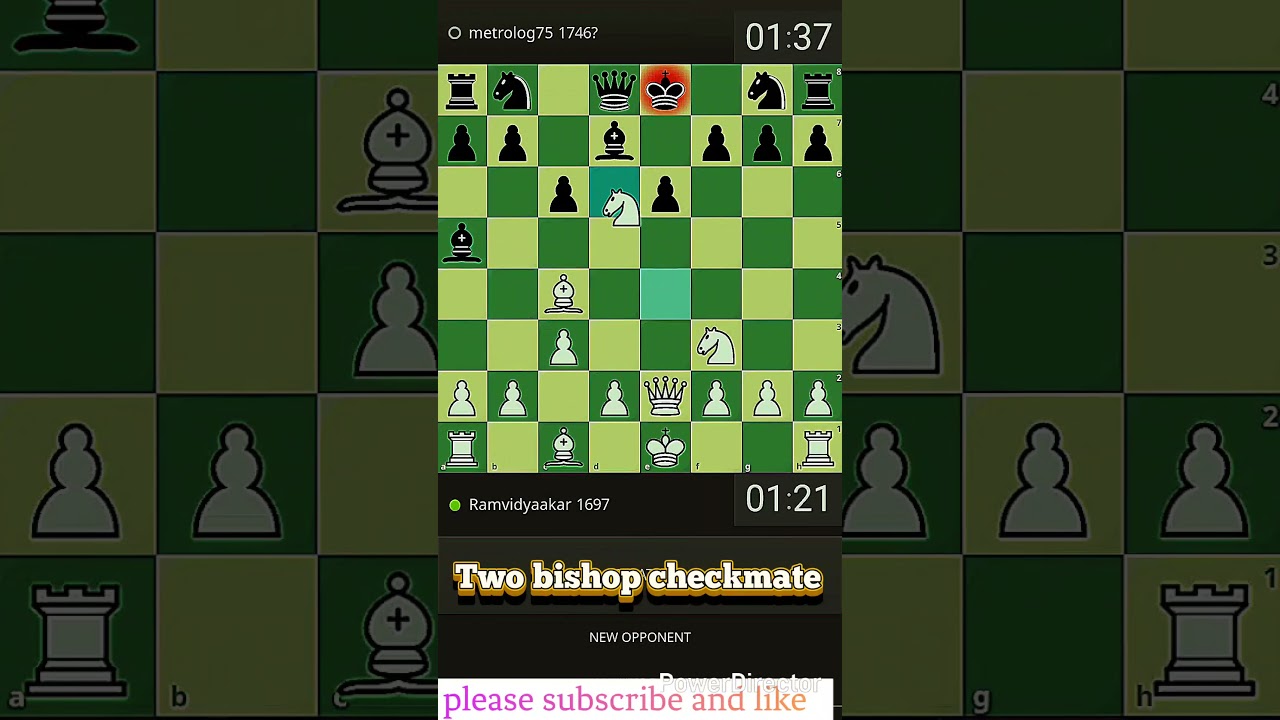 Two bishop checkmate 