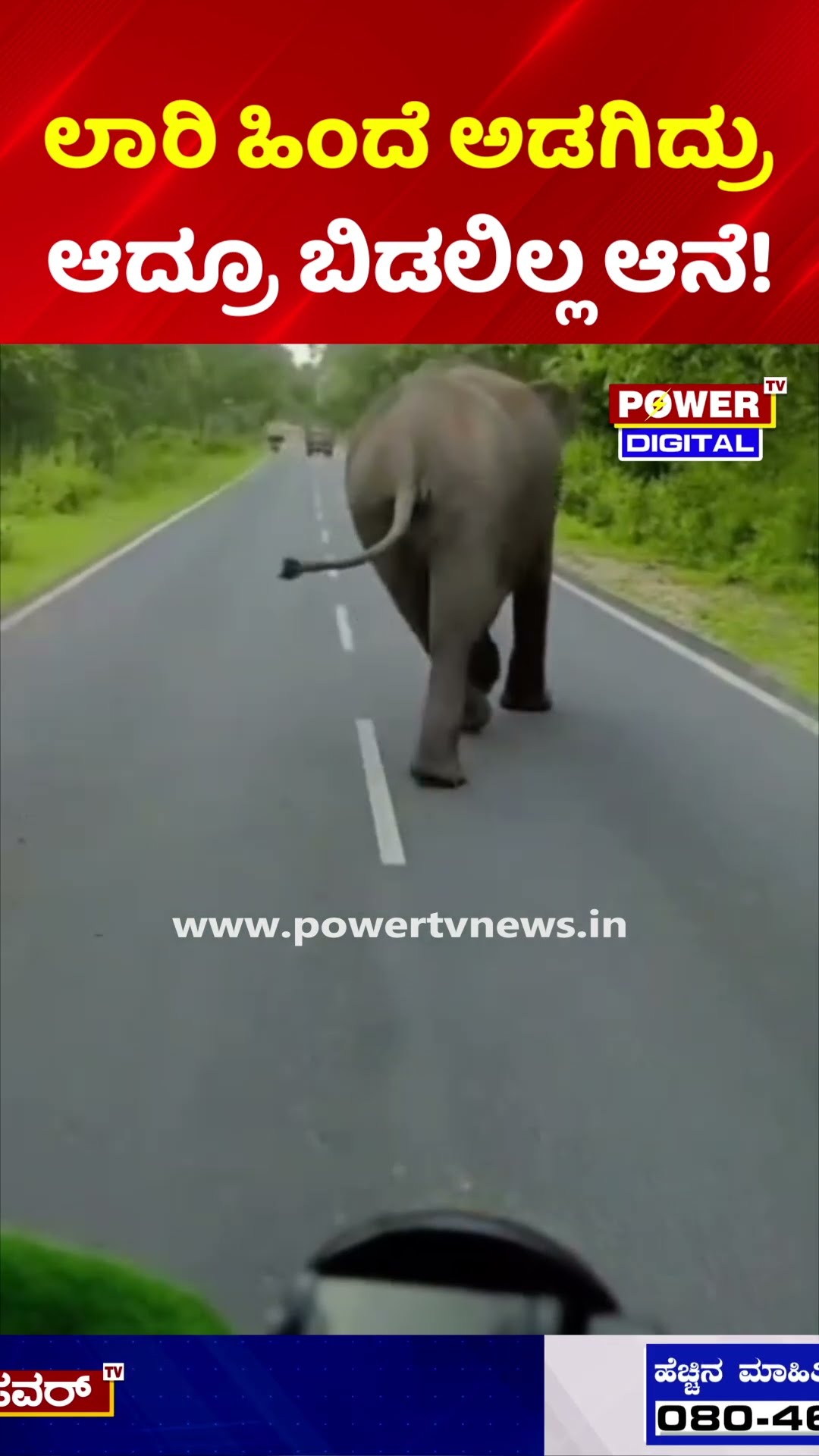 Elephant Chase: ಬೈಕ್ ಸವಾರರನ್ನೇ ಅಟ್ಟಾಡಿಸಿದ ಕಾಡಾನೆ! ಅದೃಷ್ಟವಶಾತ್ ಪ್ರಾಣಾಪಾಯದಿಂದ ಪಾರು