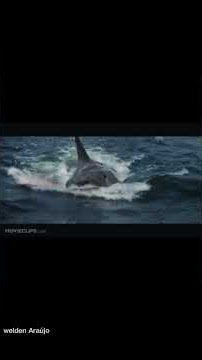 Jaws (1975) - Brody Kills the Beast