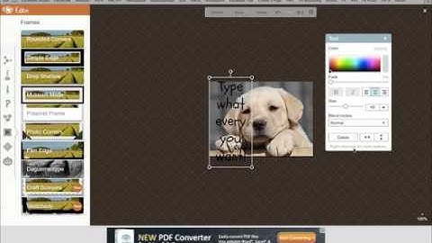 How to use PicMonkey