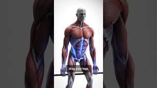 Fix Your Deadlift in 3 Simple Steps