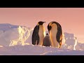 Antarctique  contes du bout du monde en franais