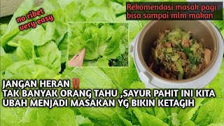Download Lagu Sayur mustard, buatlah masakan seperti ini dijamin ketagih#sayur pahit#De'Rumpel MP3