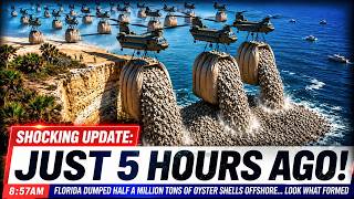 Florida Dumped Half a Million Tons of Oyster Shells Offshore Look What Formed