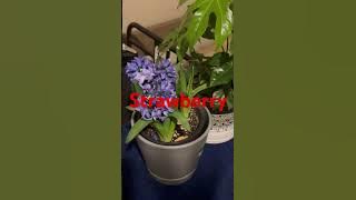 Download lagu February 27, 2024