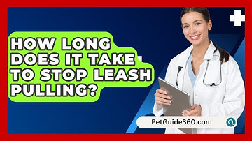 How Long Does It Take To Stop Leash Pulling? - PetGuide360.com
