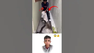 لم يجد السم منفذا حين أحاطها الرجال بحذر وبقوة 