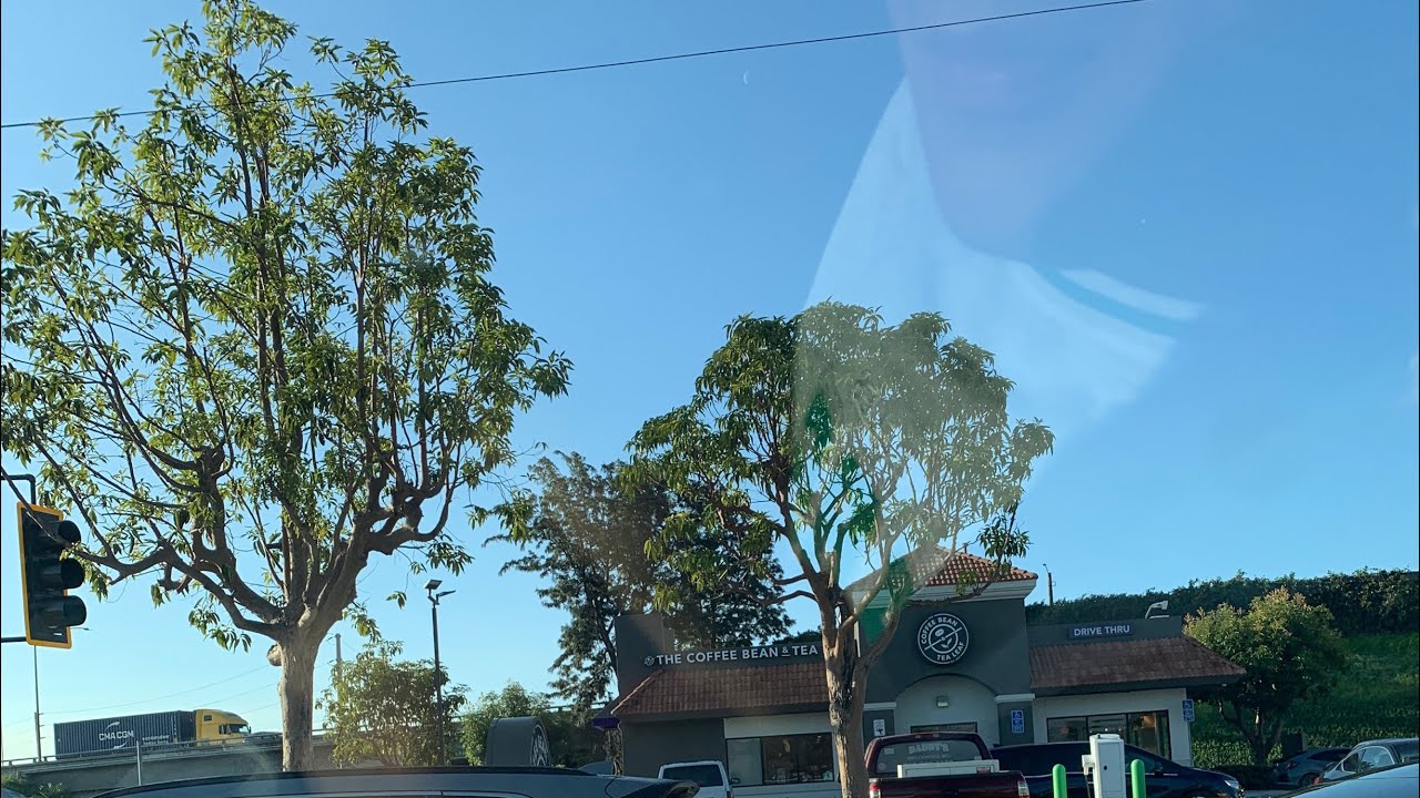 アメリカ修行‪Day7〜1week live in〜