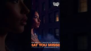 Beeda Weeda & J. Stalin new single is out now!! https://soulspazm.ffm.to/what_you_missing