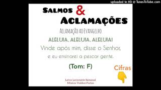 Vídeo de ALELUIA - VINDE APÓS MIM, DISSE O SENHOR