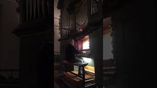 Bach BWV603 5.Puer natus in Bethlehem 1708-17 Orgelbüchlein 20211229