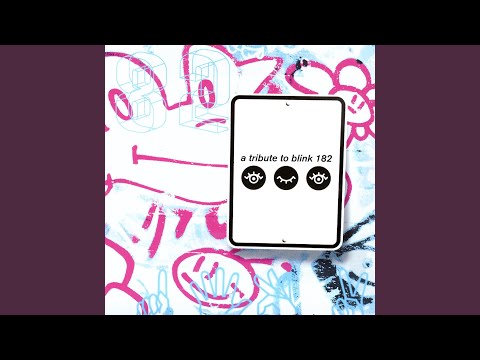 All the Small Things Video
