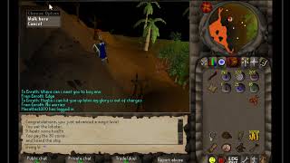 RuneScape 2004
