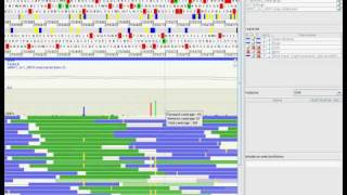 GenomeView demo: C. albicans paired-end Illumina resequencing