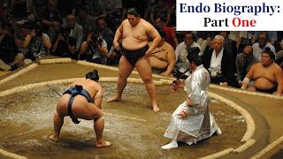 Endo Biography: Part 1 - Junior Sumo to Division 1